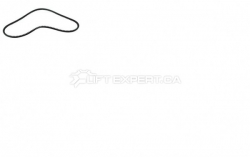 FAN BELT