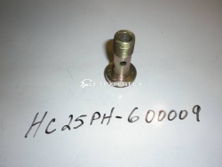 BOLT